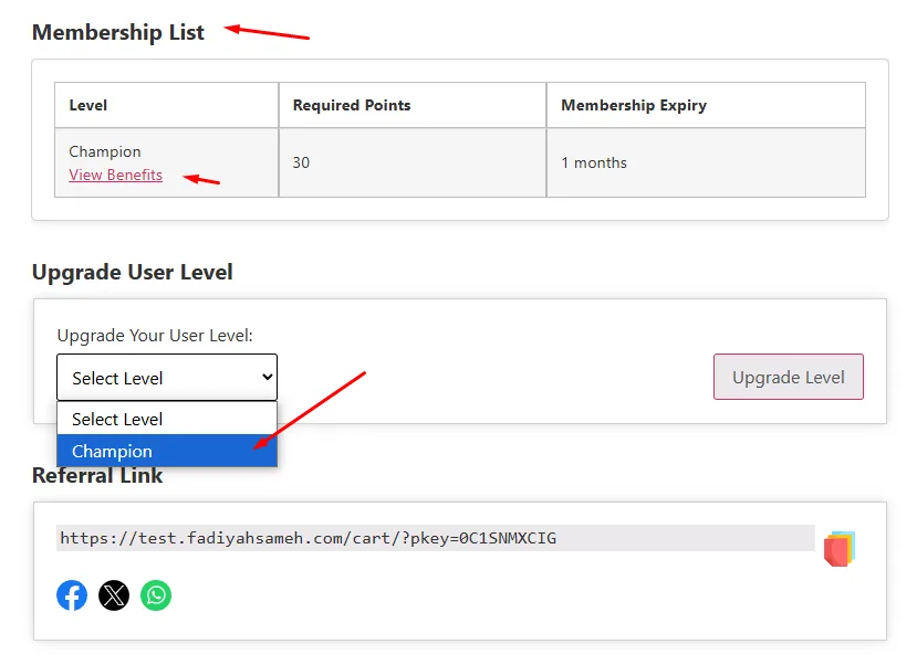 WooCommerce Loyalty Program