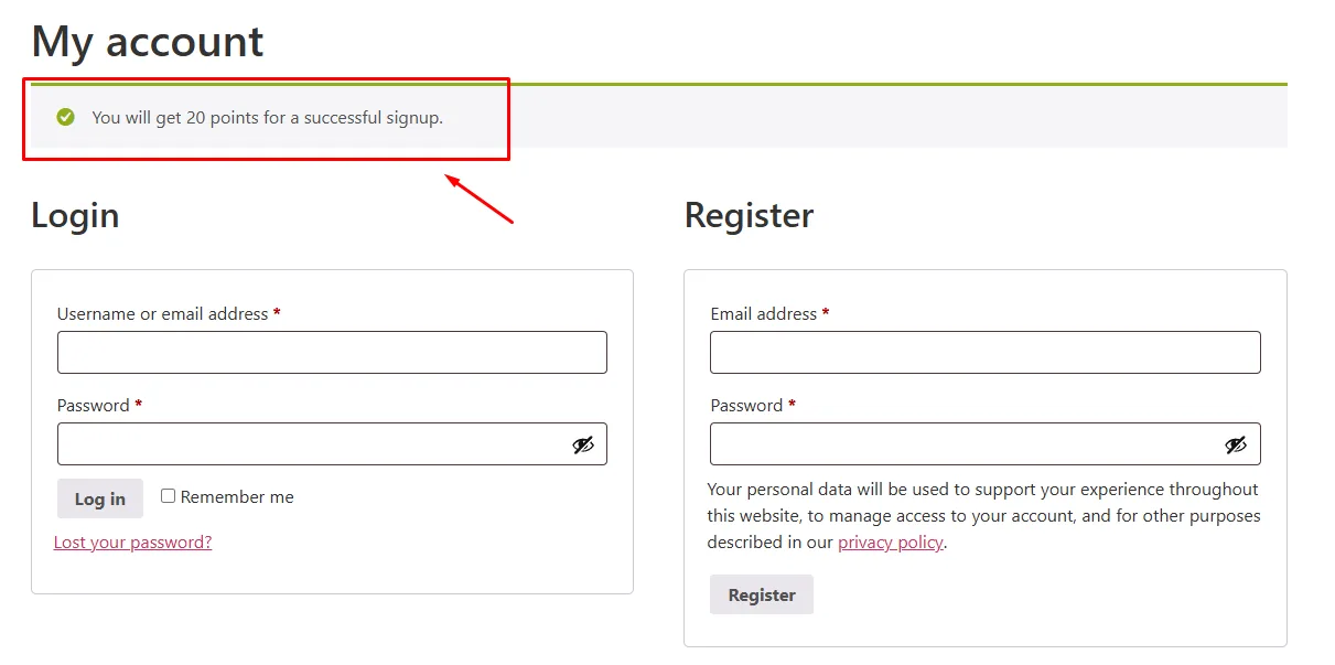 WooCommerce Loyalty Program rewards