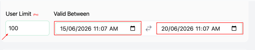 Setting user limit and validity dates in Disco's discount rules for WooCommerce